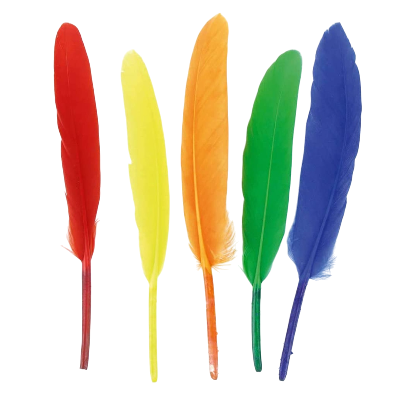 Plumes indiennes multicolores 10-16 cm pour attrape-rêves et DIY. Canocea France