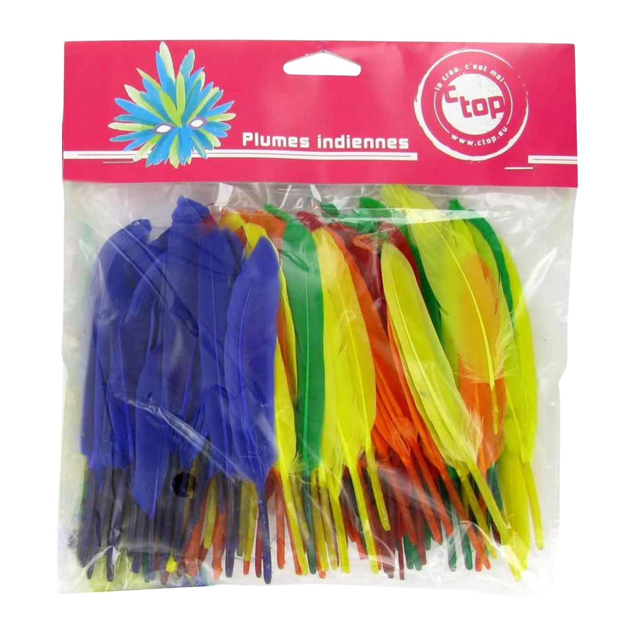 le pack de 120 plumes indiennes couleurs vives, sympa, original; parfaites pour décoration et déguisements. Canocea France