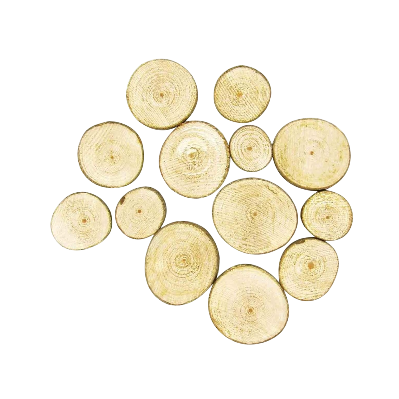 Lot de 10 tranches de bois rondes naturelles 2,5 à 5 cm pour loisirs créatifs, DIY et décoration rustique. Canocea France