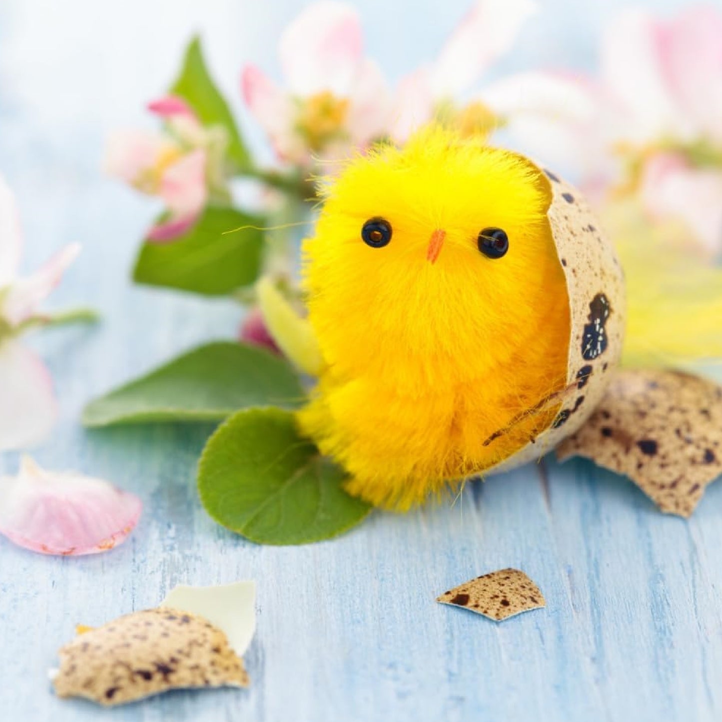 Poussins - chenille de soie - 12 pièces - 2,5 cm