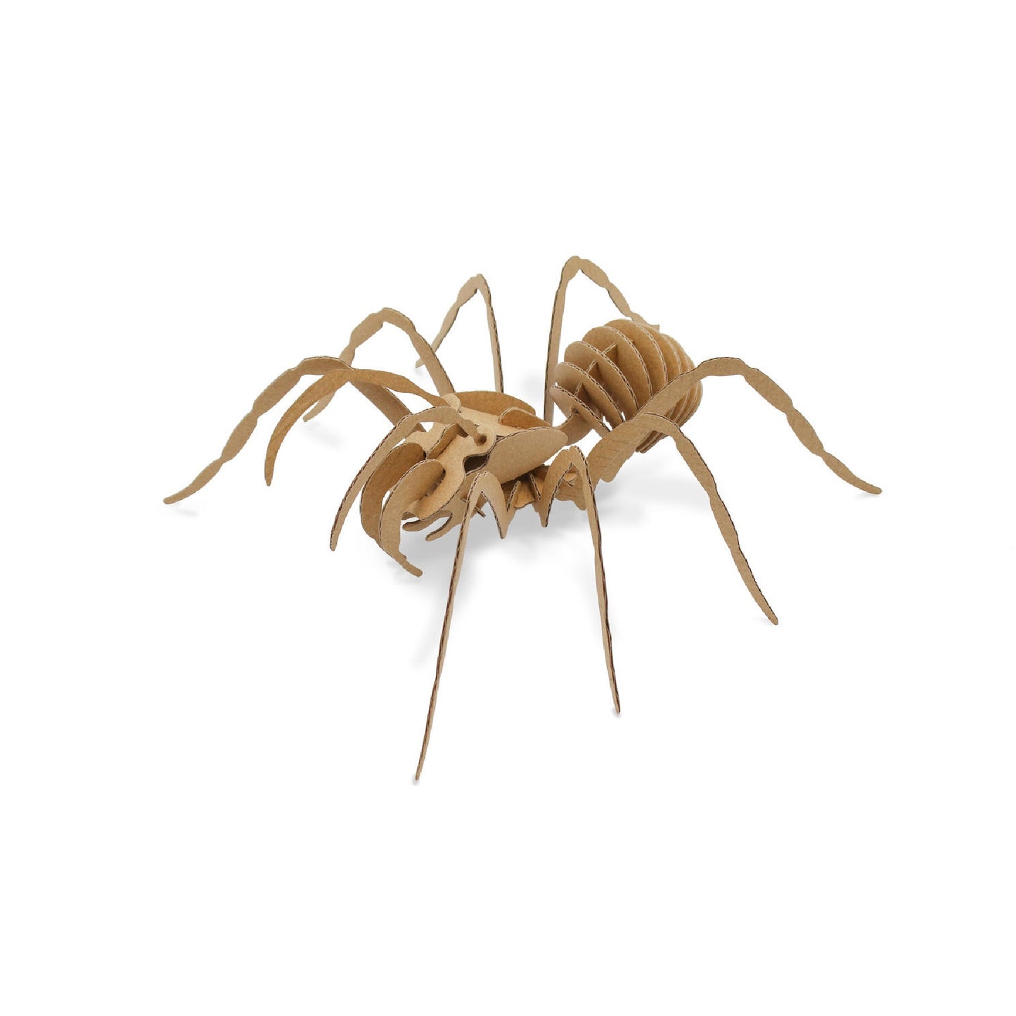 Puzzle 3D - Araignée - 23x21,5x8,5cm - Carton - support personnalisable - Maquette