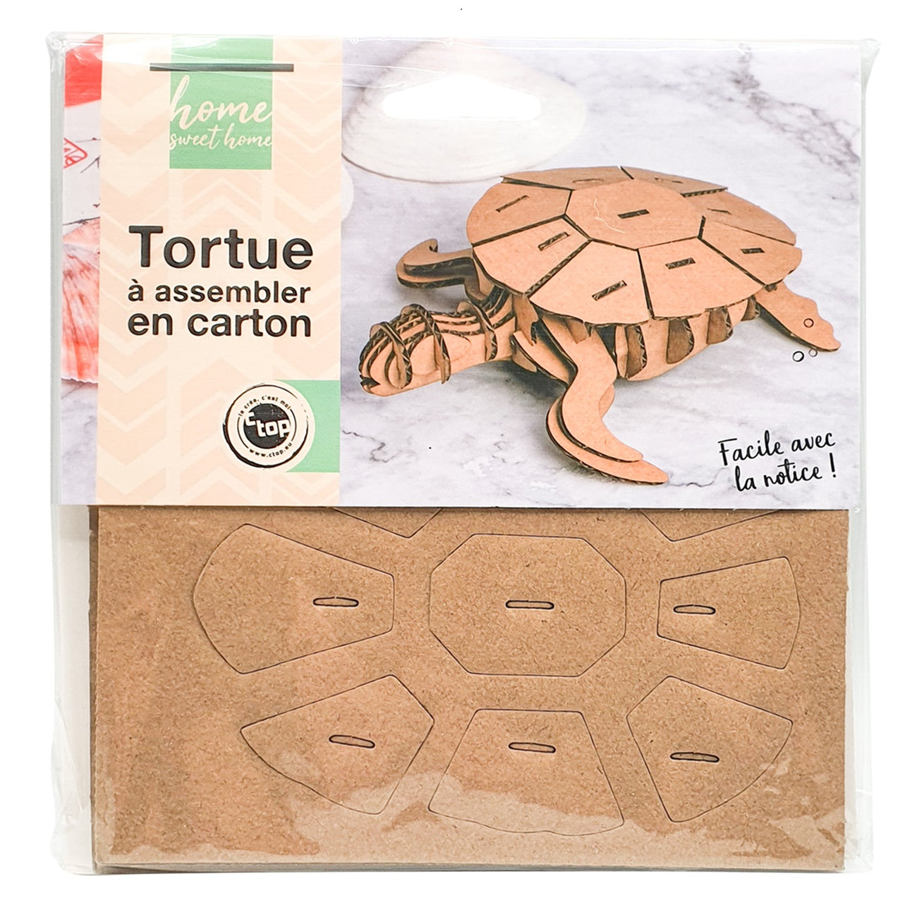 Kit Puzzle 3D Tortue en carton – pièces à assembler facilement. Canocea France