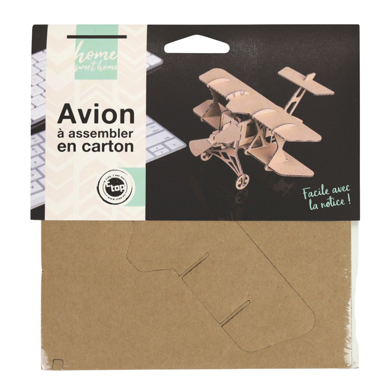 Activité manuelle DIY : montage maquette avion en carton. Canocea France