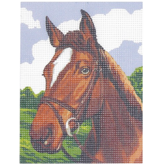 Kit canevas motif tête de cheval 15x20 cm toile imprimée, fils coton et aiguille. Canocea France.