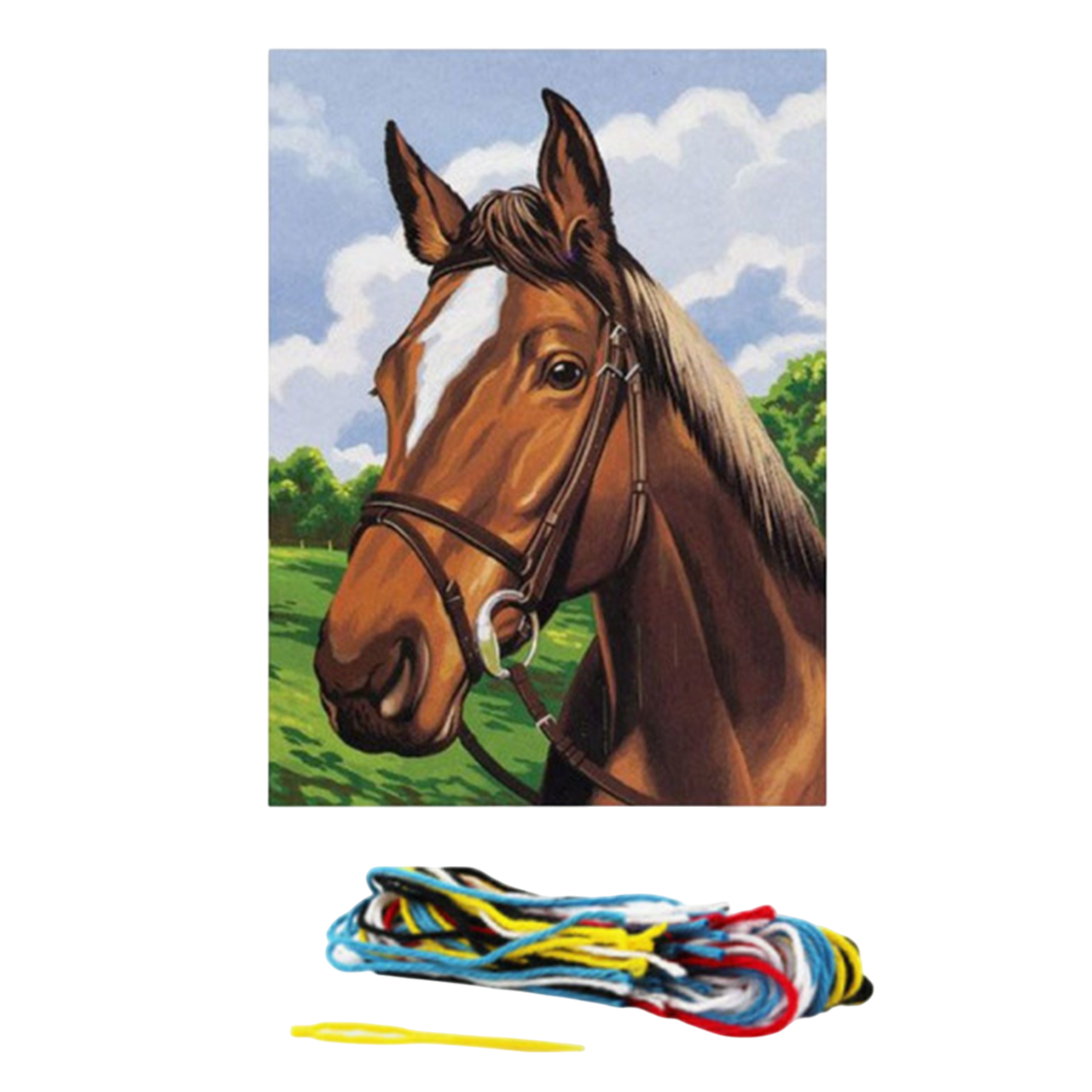 kit complet avec une toile imprimée avec un motif de cheval, incluant aussi les fils, l'aiguille et la notice parfait pour broder. Canocea France