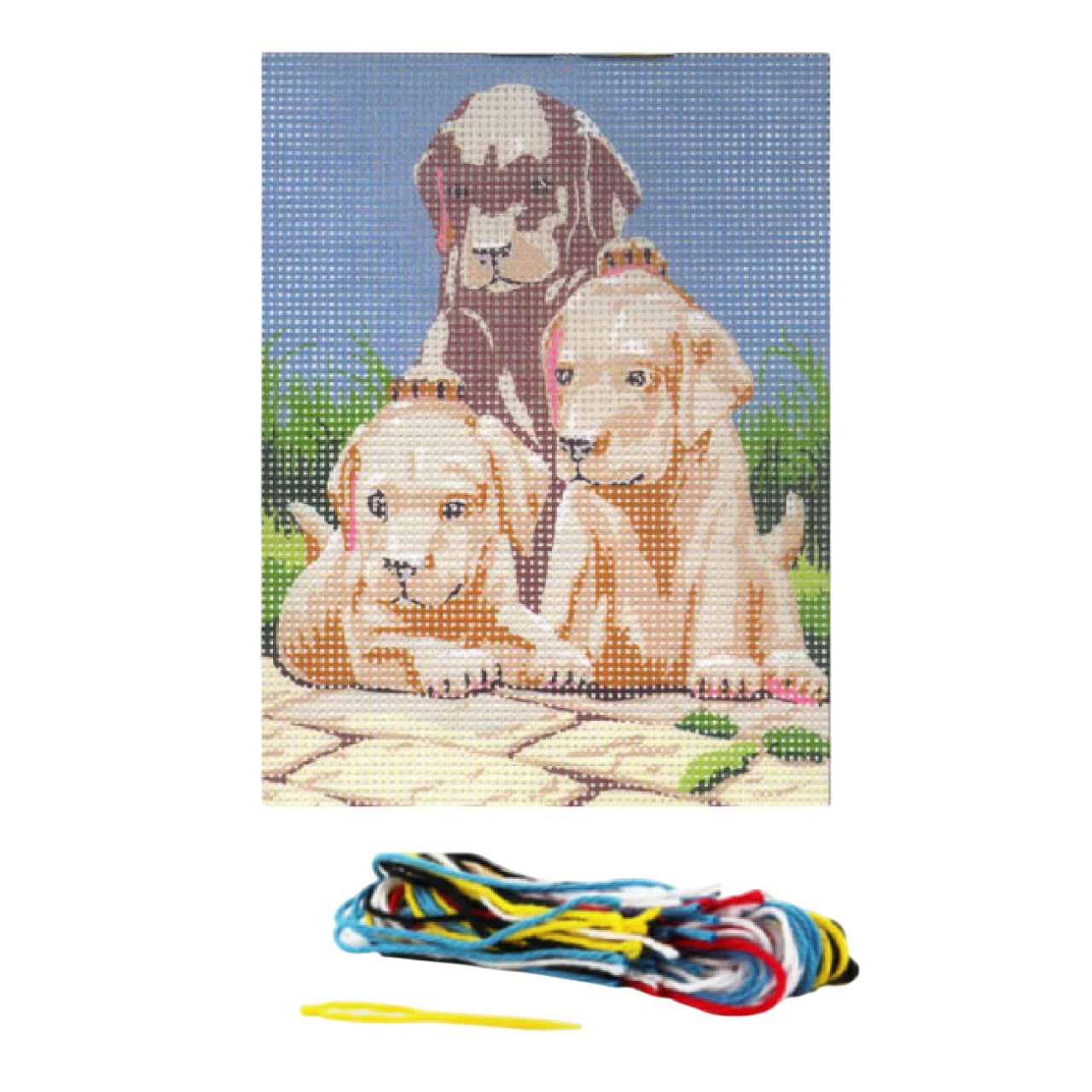 kit complet canevas pour réaliser et apprendre la broderie contenant une toile imprimée chiots, du fils, une aiguille et la notice