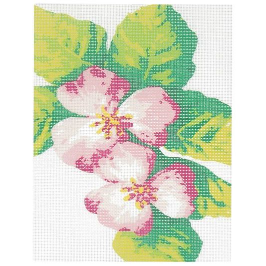 Kit canevas motif roses 15x20 cm avec toile imprimée, fils coton et aiguille. Canocea France.