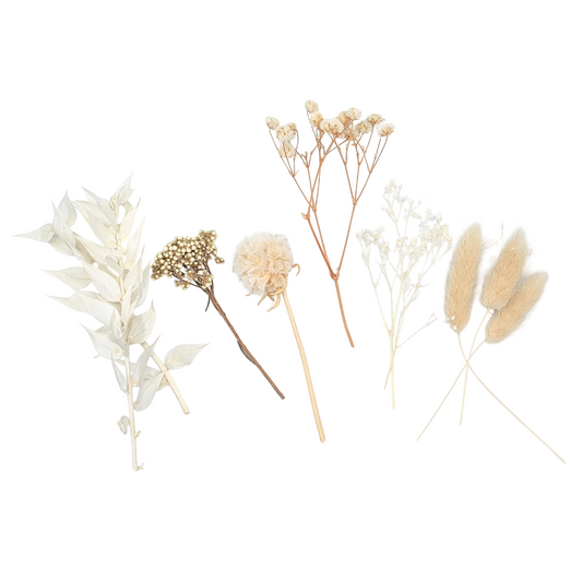 Lot de 10 fleurs séchées blanches H 13 cm – déco bohème et naturelle. Canocea France