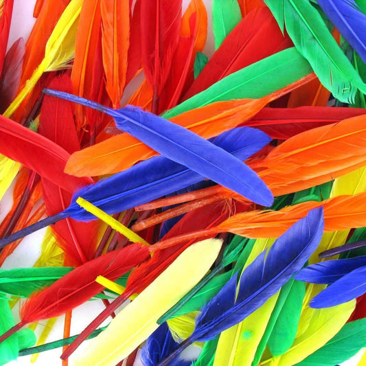 Plumes indiennes multicolores 10 à 16 cm pour loisirs créatifs DIY. Canocea France
