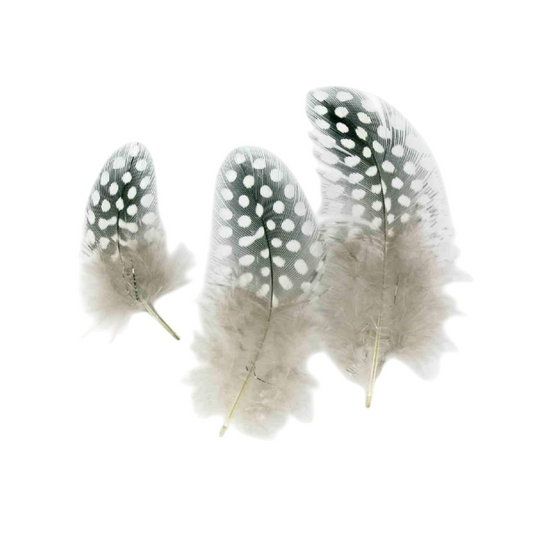 Plumes naturelles blanches à pois 10 cm pour mariages et loisirs créatifs. Canocea France
