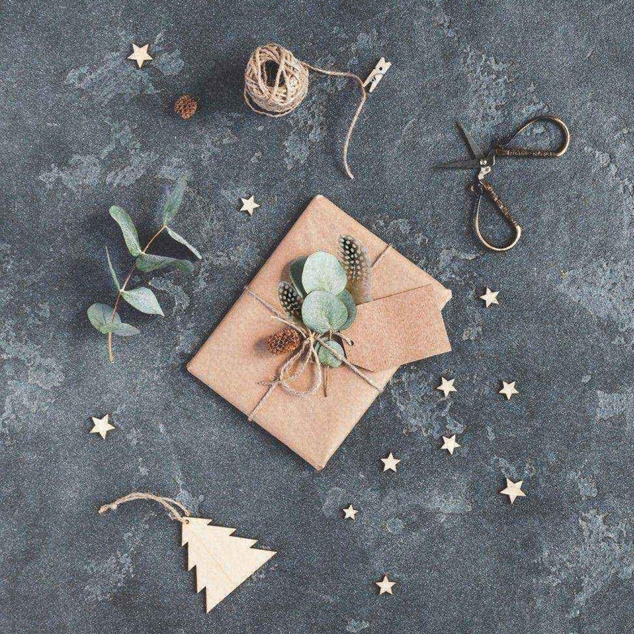 Le lot de plumes aspect naturel ton  beige, idéal pour embellissement. Canocea France