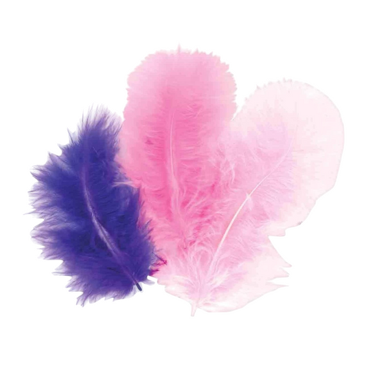 Plumes camaïeux de violet 10 cm pour mariages, fêtes et loisirs créatifs. Canocea France