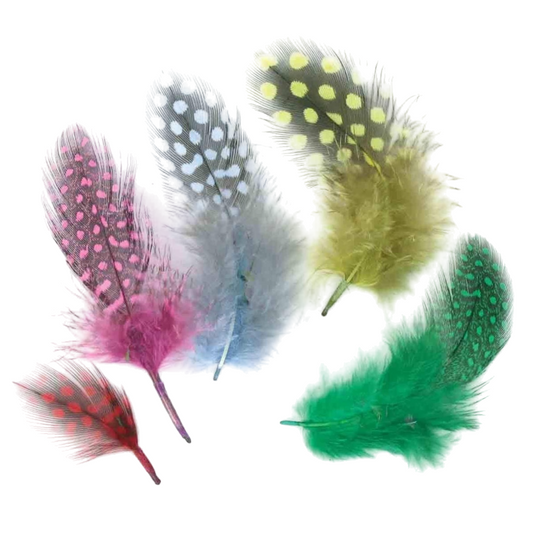 Plumes multicolores à pois 10 cm pour décorations festives et DIY. Canocea France
