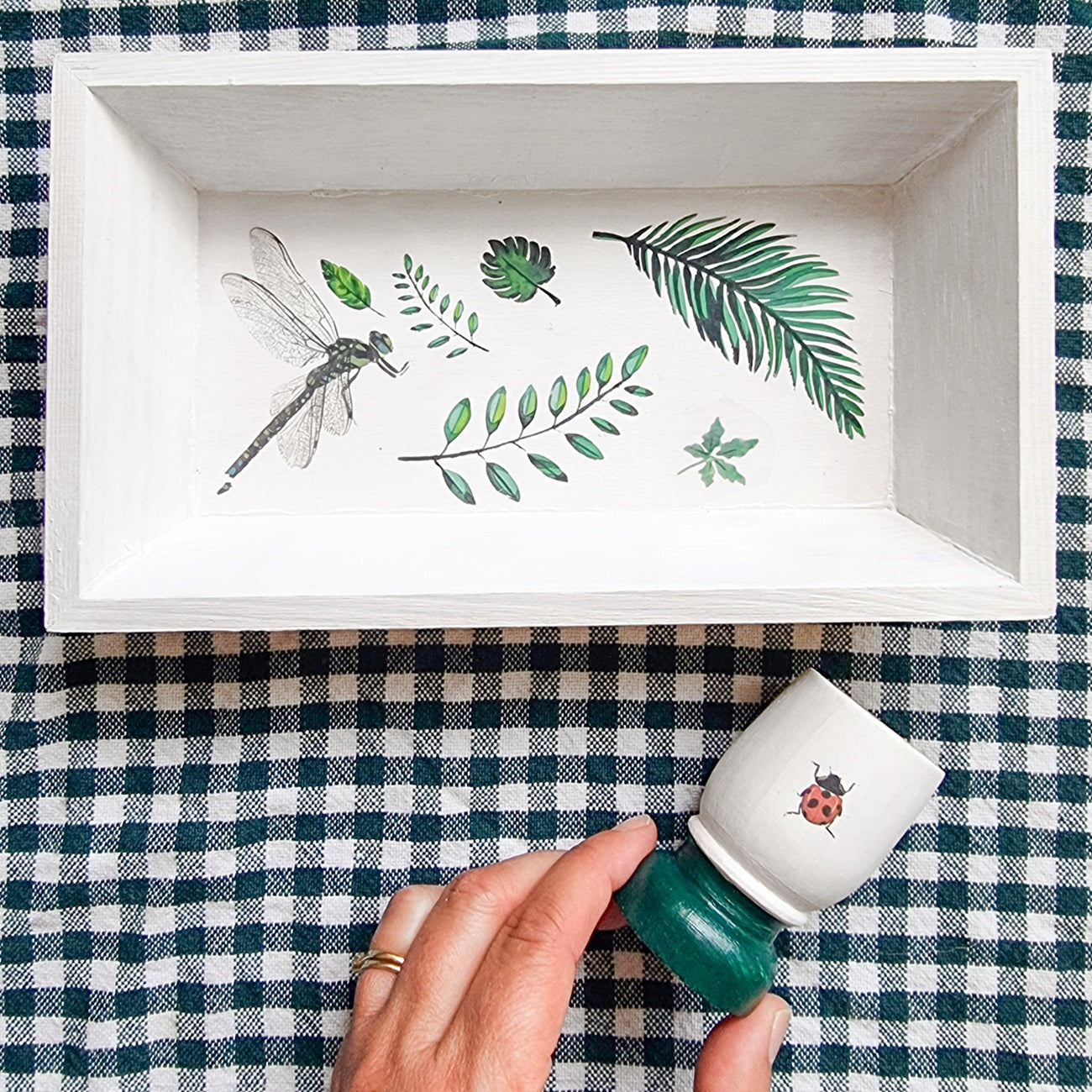 Planche de transferts à sec nature et botanique. Canocea France