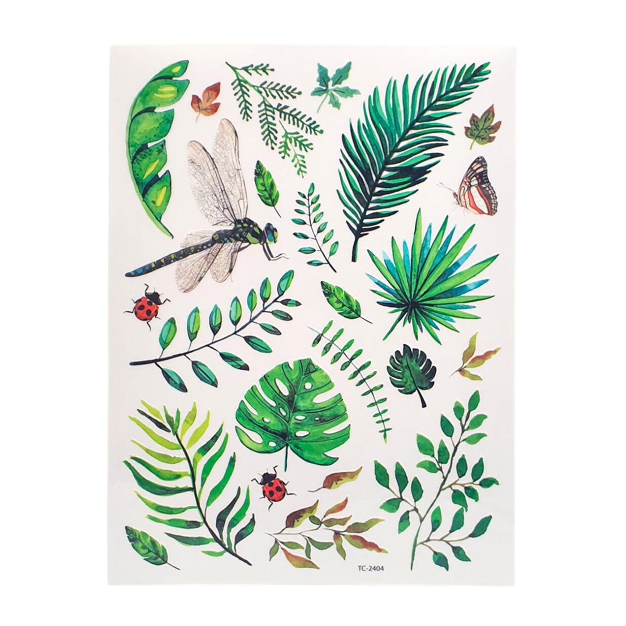 Transferts à sec feuilles et insectes pour loisirs créatifs. Canocea France