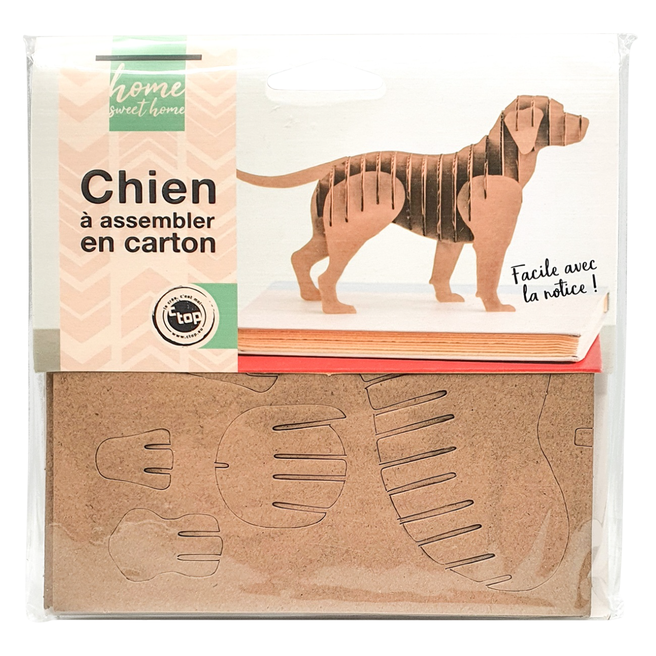 Kit Puzzle 3D Chien en carton – pièces prédécoupées à emboîter. Canocea France