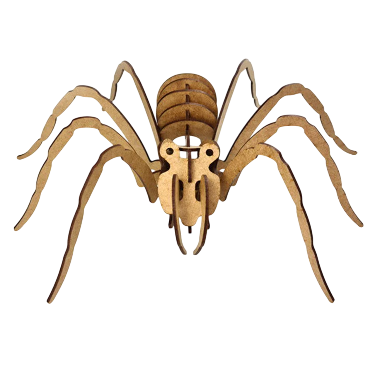 Maquette araignée en carton naturel à assembler. Canocea France