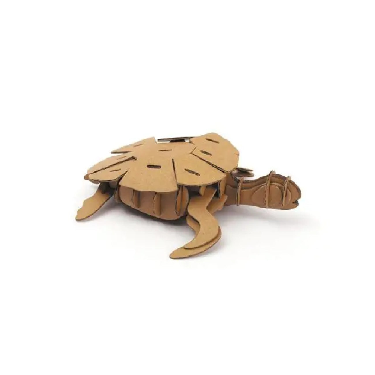 Maquette Tortue 3D en carton montée – objet décoratif à poser. Canocea France