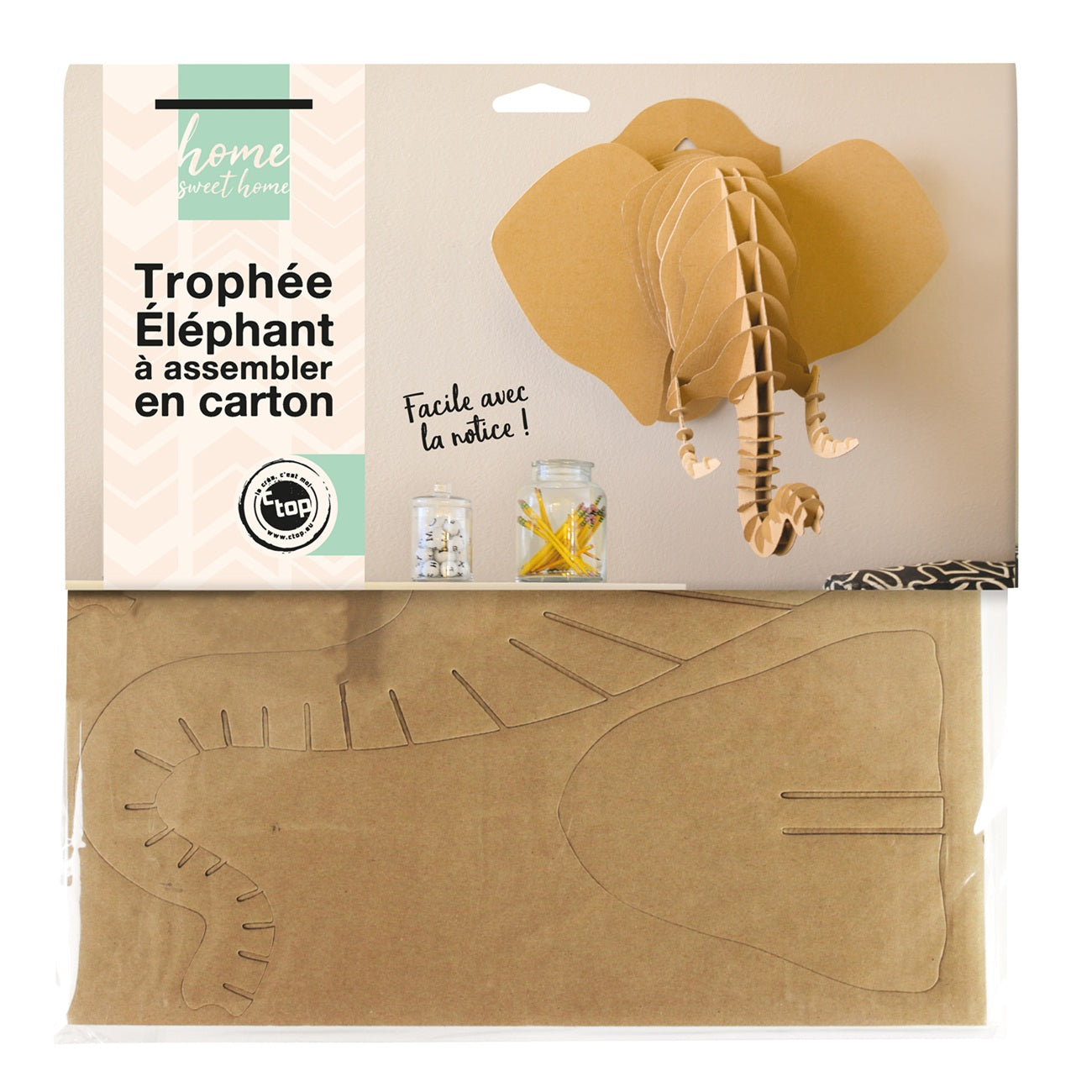 Trophée éléphant 3D décoratif pour adultes et enfants. Canocea France