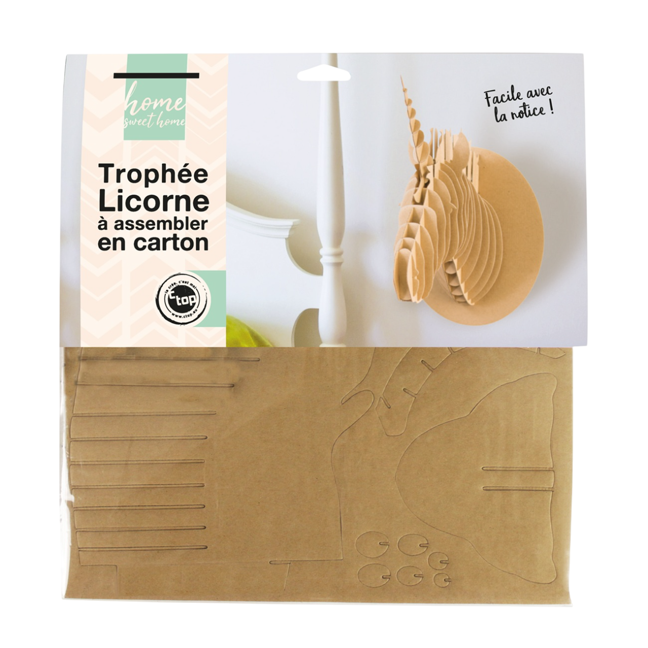 Maquette murale licorne écologique avec support personnalisable. Canocea France