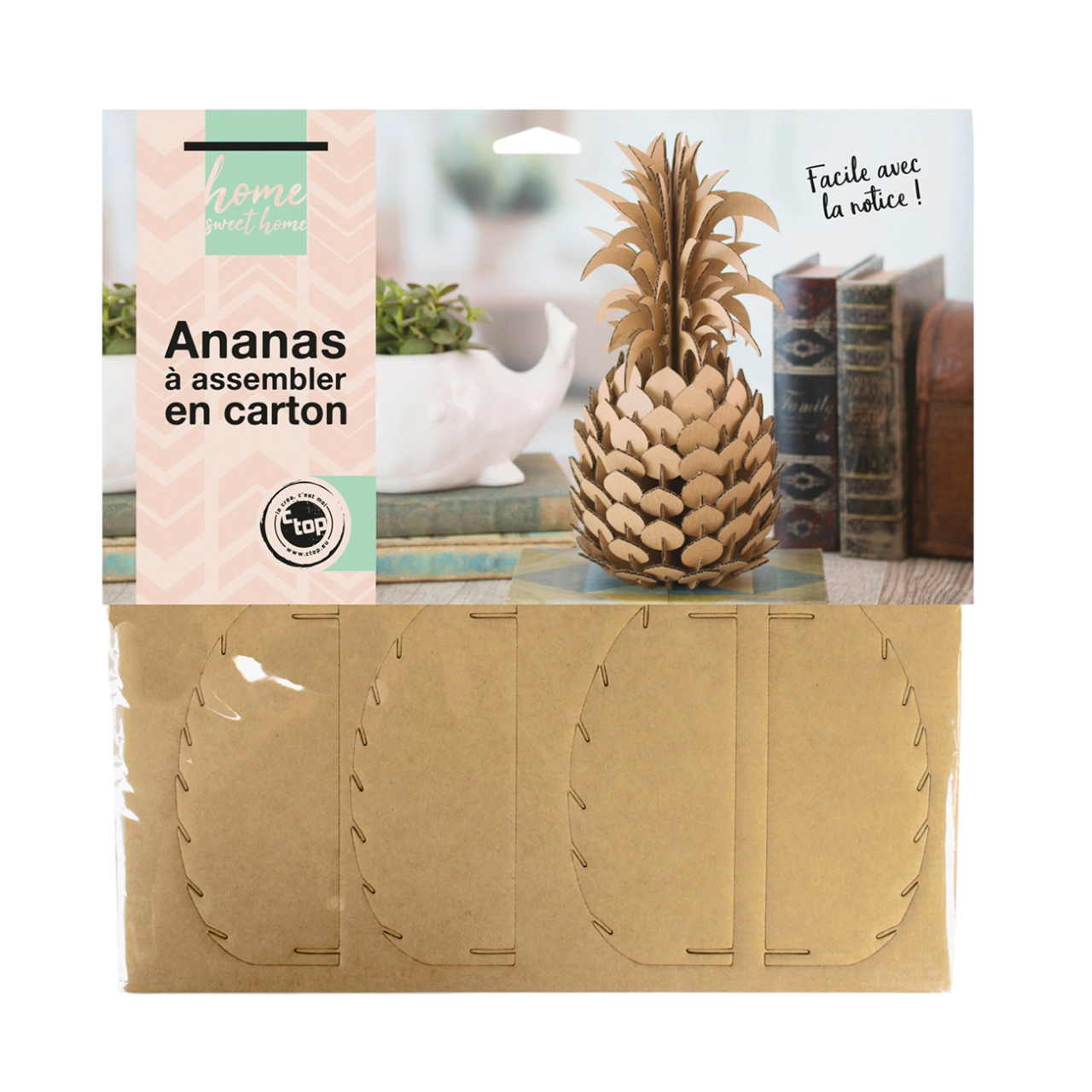 Puzzle 3D avion décoratif pour enfants et adultes. Canocea France