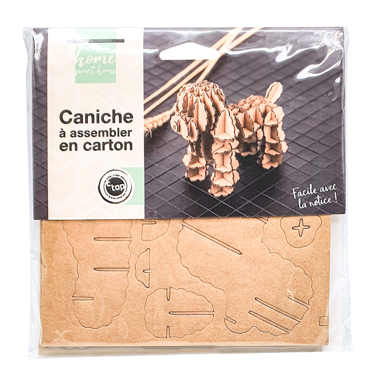 Kit Puzzle 3D Caniche en carton – pièces prédécoupées à emboîter. Canocea France