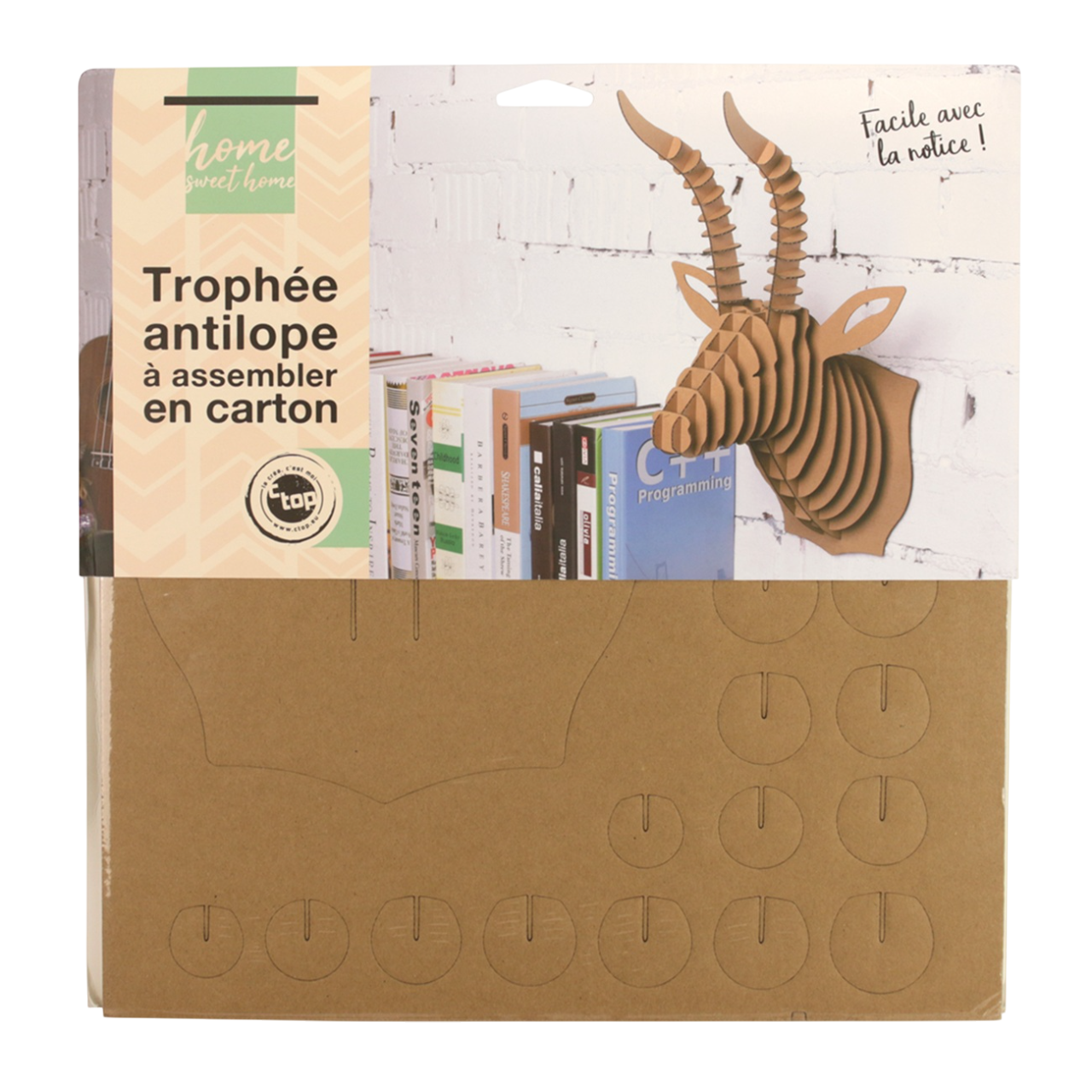 Maquette murale antilope écologique avec . support personnalisable. Canocea France