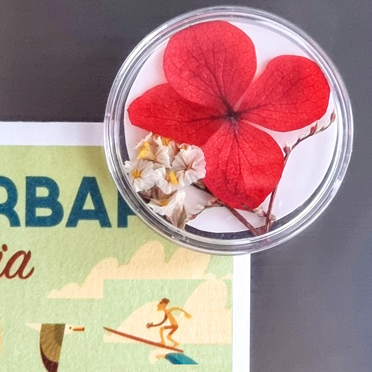 lot de 4 aimants translucide, à décorer personnaliser- Canocea France