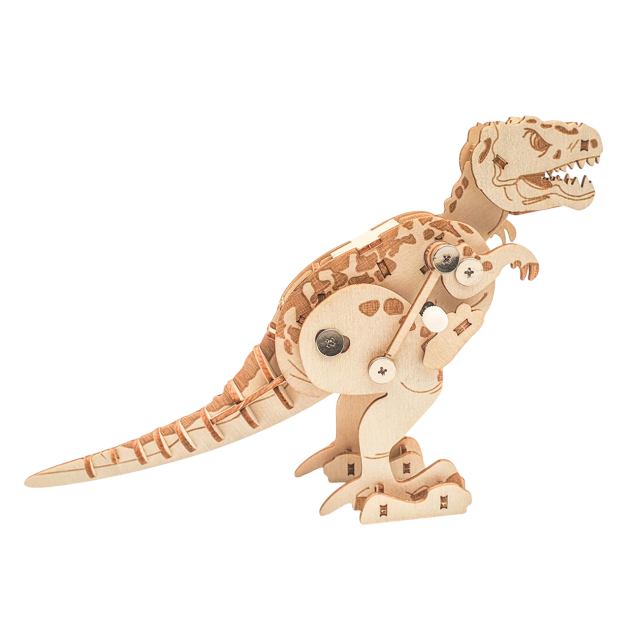 Maquette 3D en bois T-Rex à assembler – vue complète. Canocea France