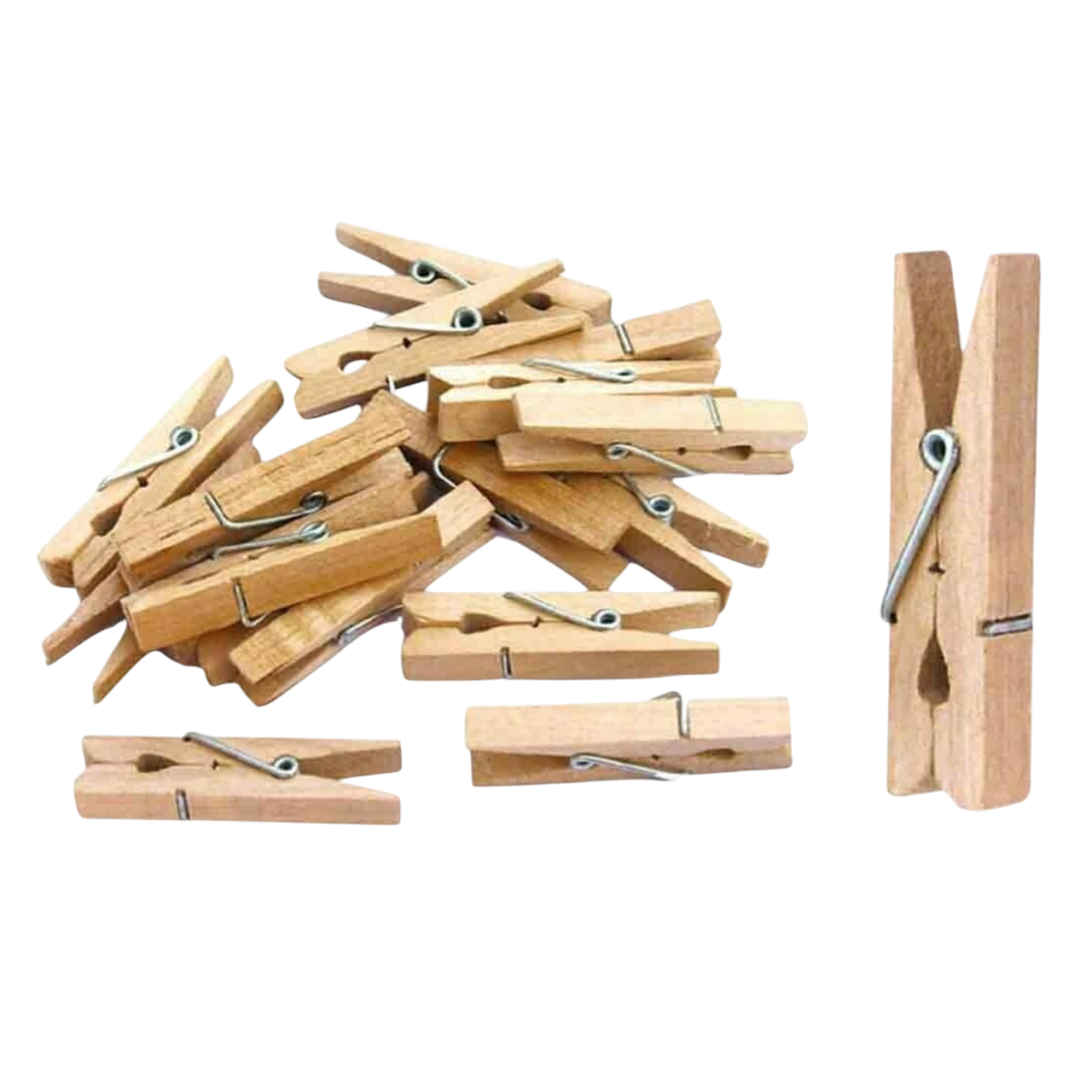 pinces à linge bois naturel 4,8 cm 50 pièces. Canocea France