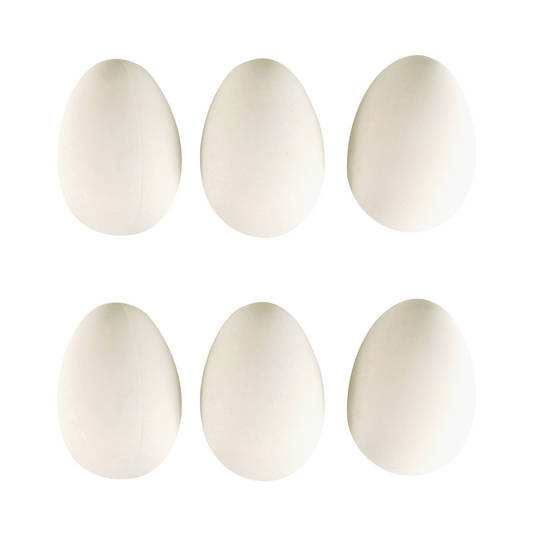 Lot de 6 œufs en plastique blanc 6 x 4,5 cm à peindre, coller ou graver pour Pâques et loisirs créatifs. Canocea France.