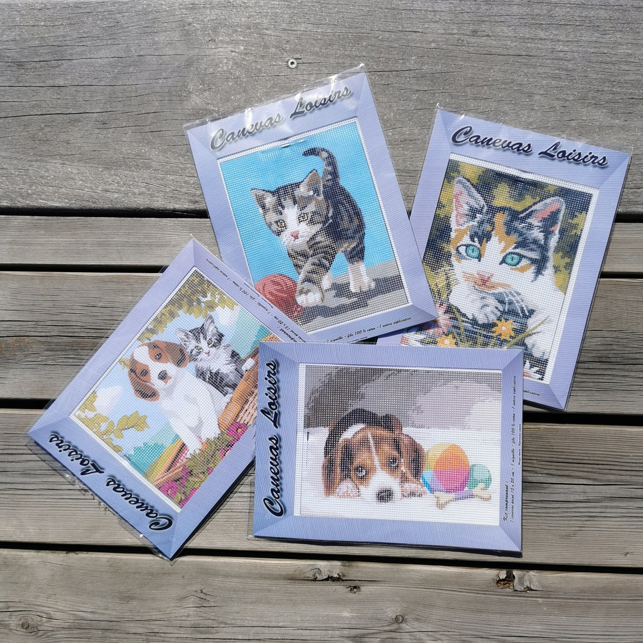 kit complet sur le thème animaux domestique chat, chatons, chiot, chien, idéal pour apprendre la broderie.
Canocea France